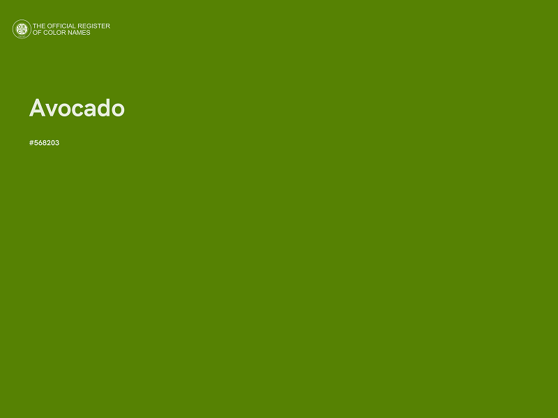 #568203 - Avocado color image