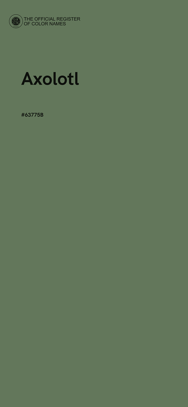 #63775B - Axolotl color image