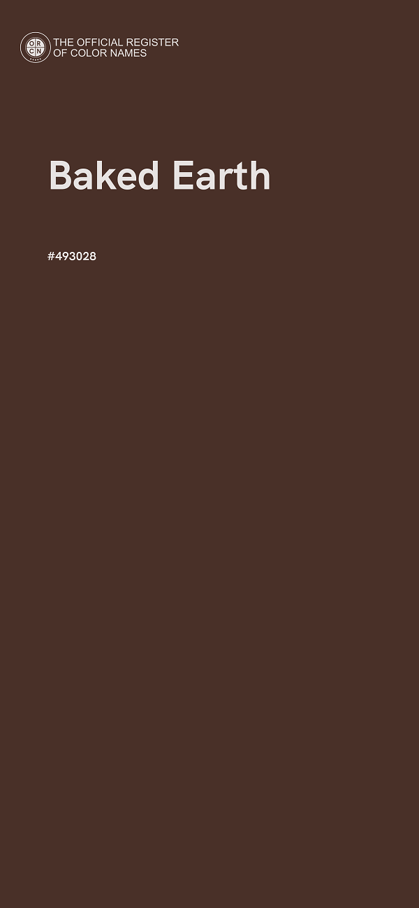 #493028 - Baked Earth color image