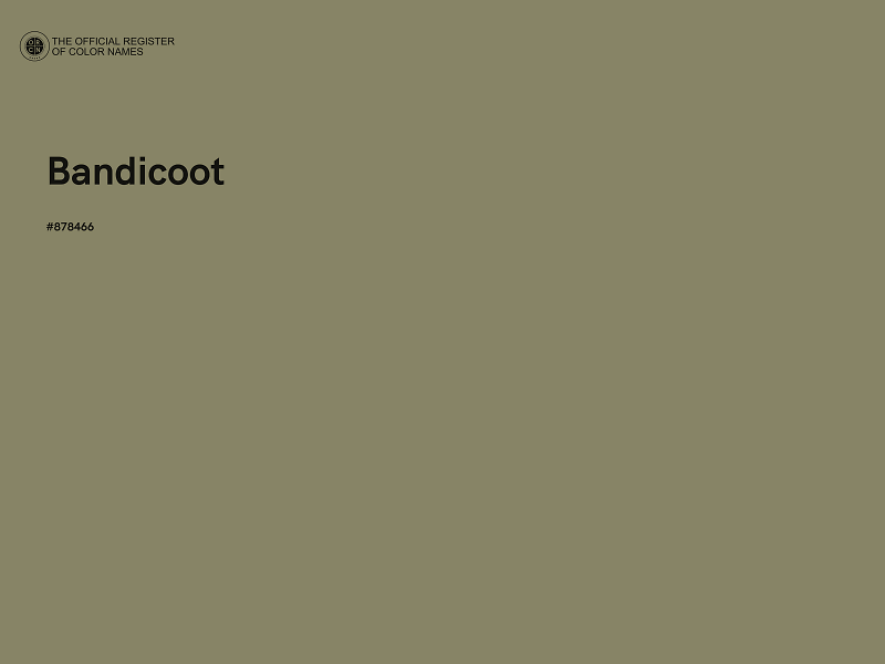 #878466 - Bandicoot color image