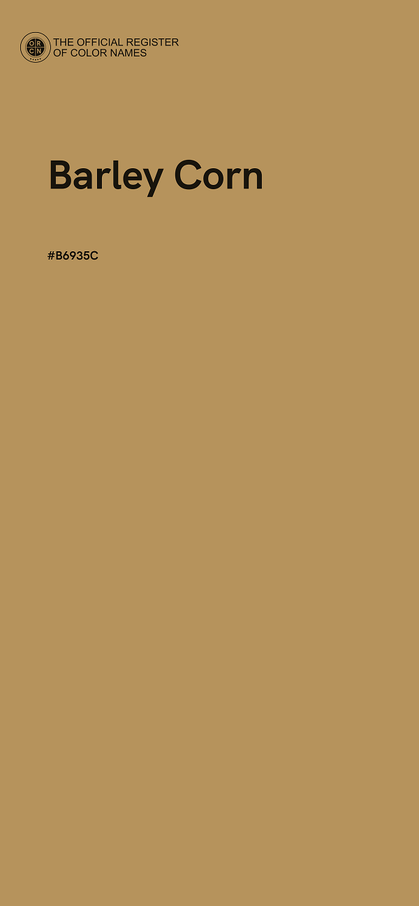 #B6935C - Barley Corn color image