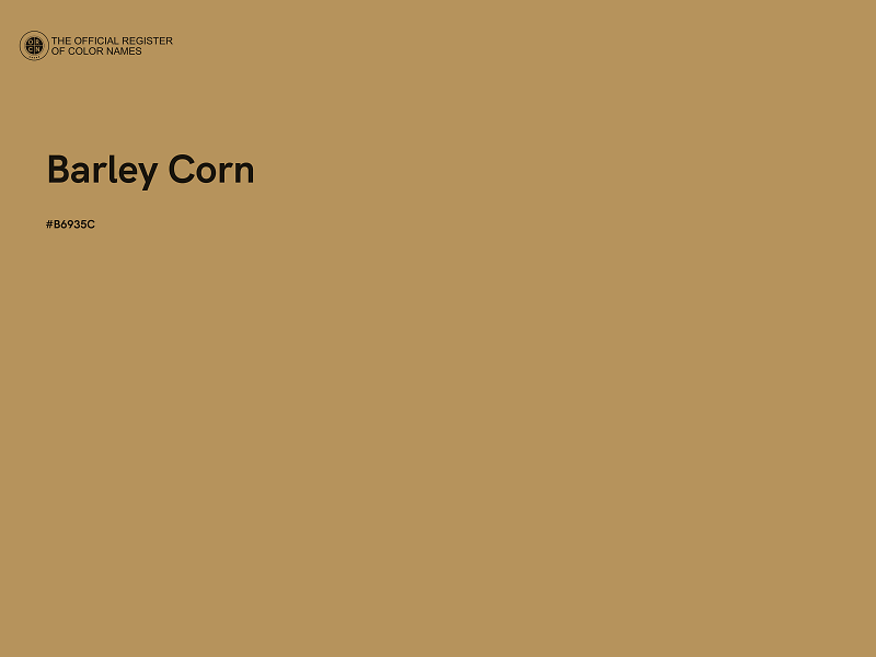 #B6935C - Barley Corn color image