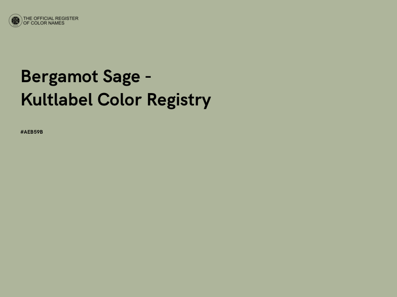 #AEB59B - Bergamot Sage - Kultlabel Color Registry color image
