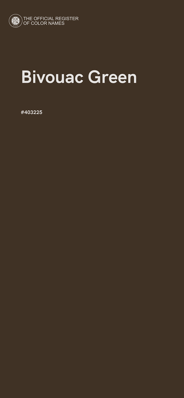 #403225 - Bivouac Green color image