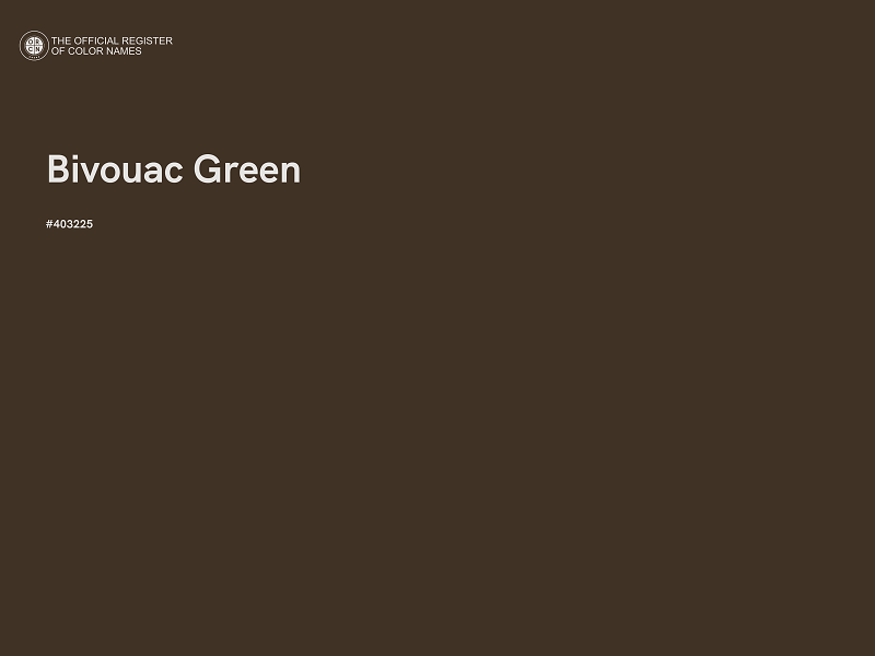 #403225 - Bivouac Green color image