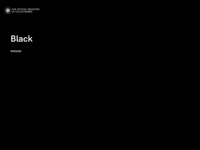 #000000 - Black color image