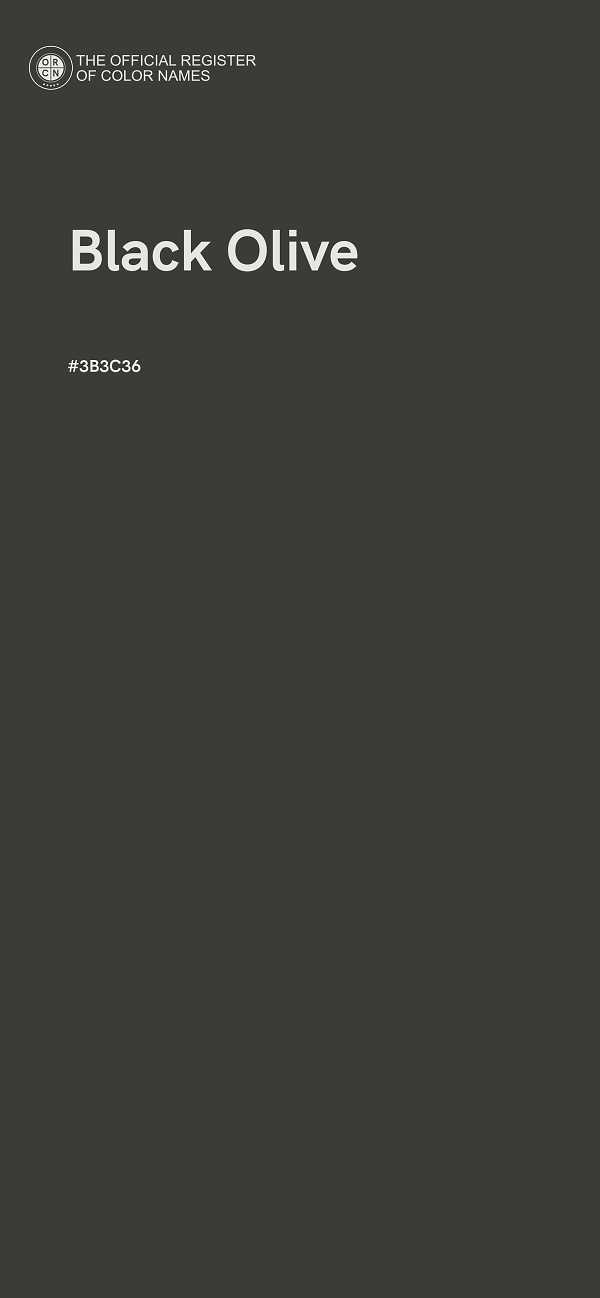 #3B3C36 - Black Olive color image