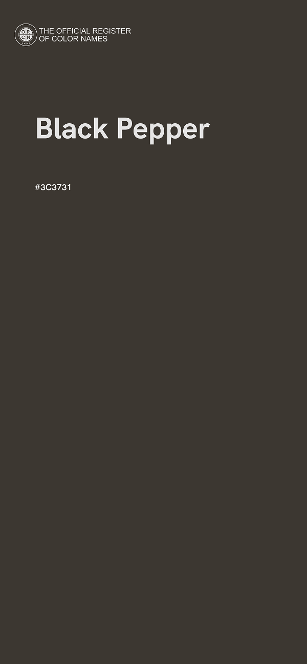 #3C3731 - Black Pepper color image