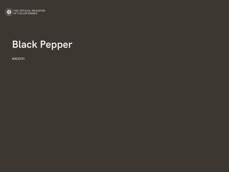 #3C3731 - Black Pepper color image