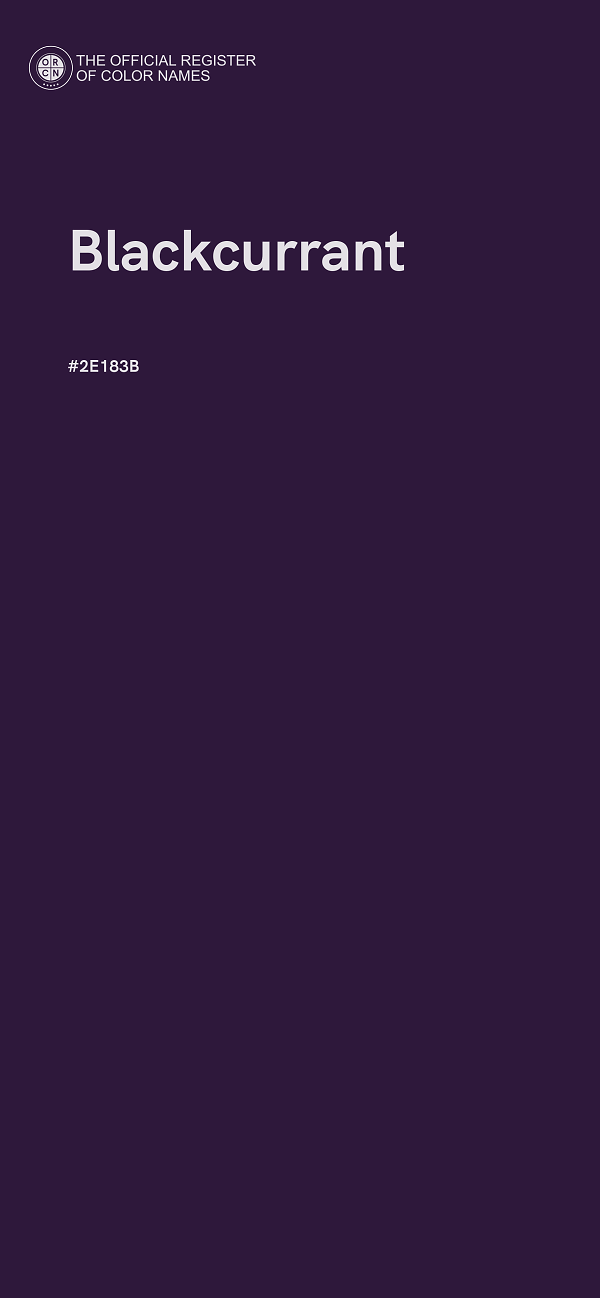#2E183B - Blackcurrant color image