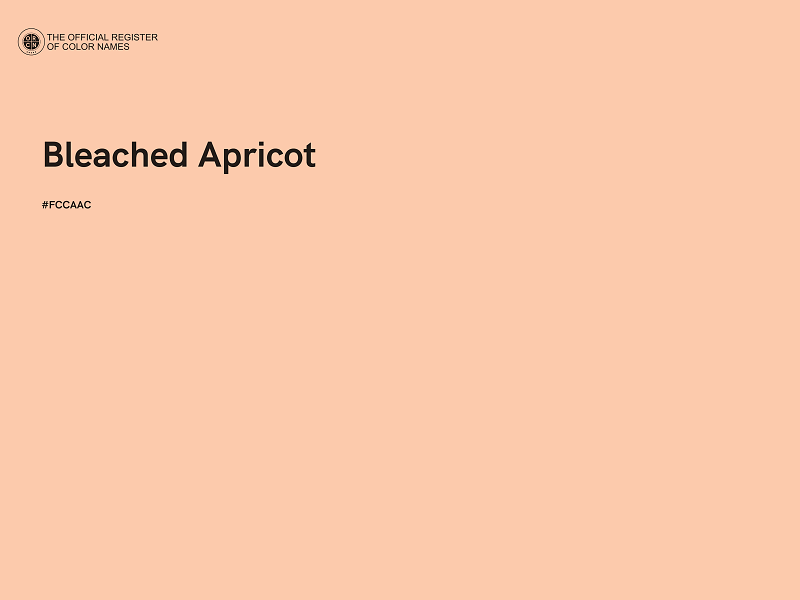 #FCCAAC - Bleached Apricot color image