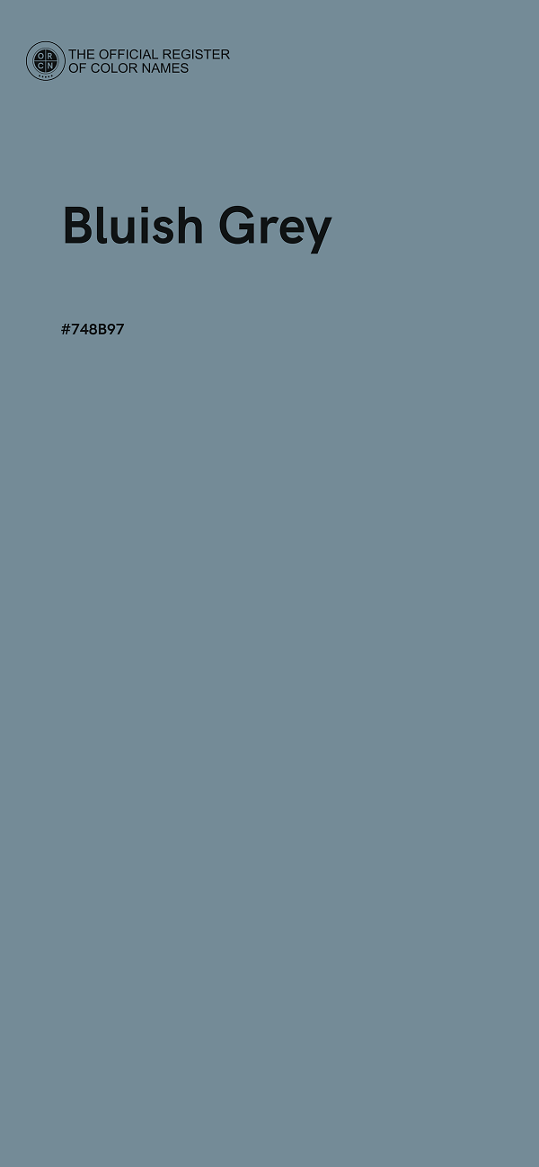 #748B97 - Bluish Grey color image