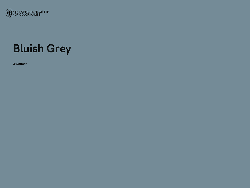 #748B97 - Bluish Grey color image