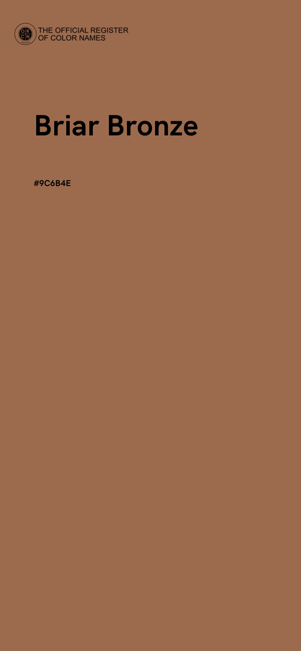 #9C6B4E - Briar Bronze color image