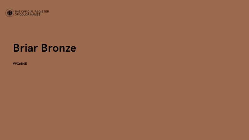 #9C6B4E - Briar Bronze color image