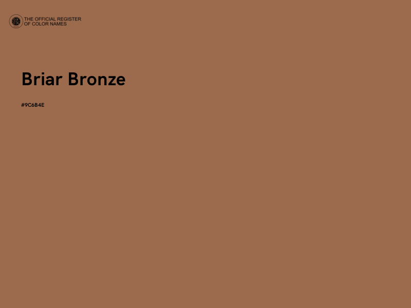 #9C6B4E - Briar Bronze color image