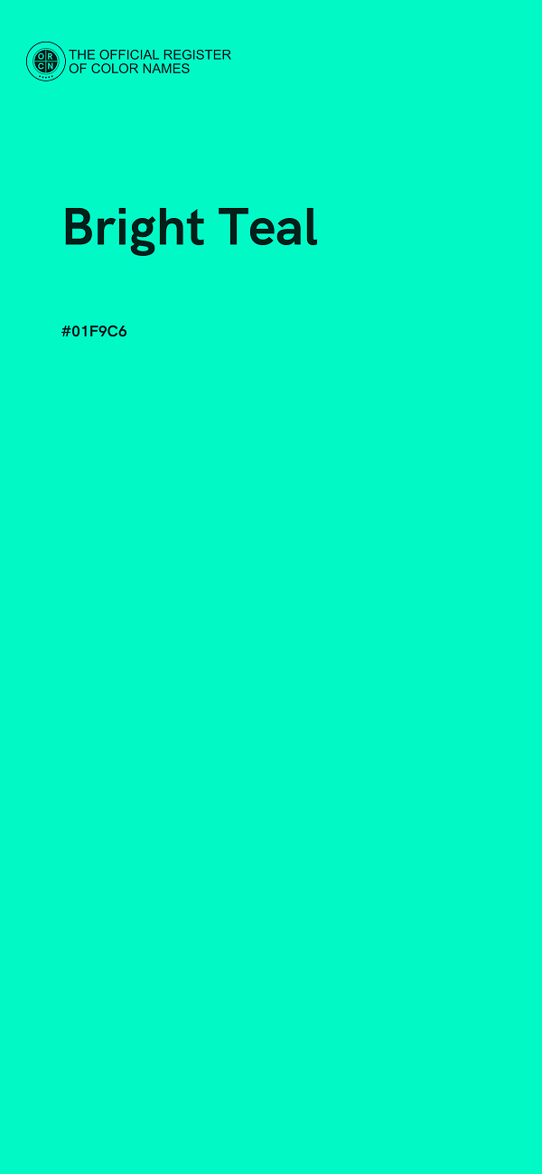 #01F9C6 - Bright Teal color image