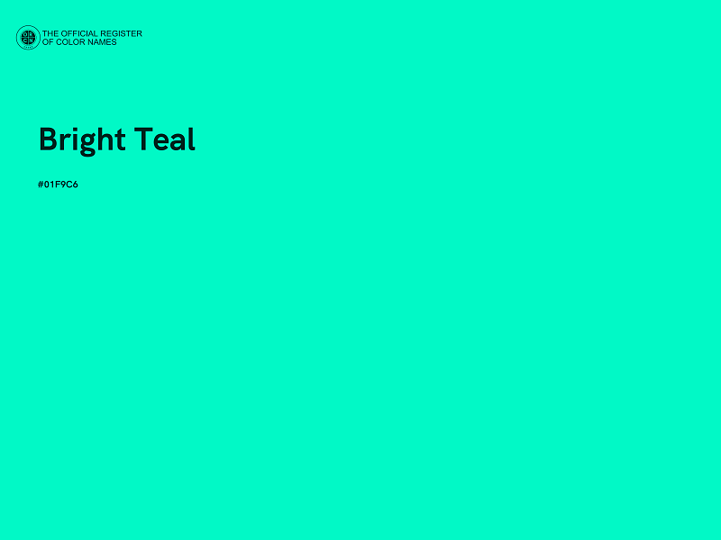 #01F9C6 - Bright Teal color image