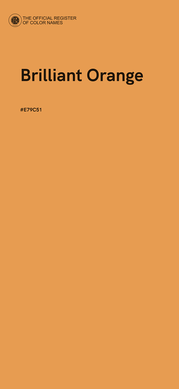 #E79C51 - Brilliant Orange color image