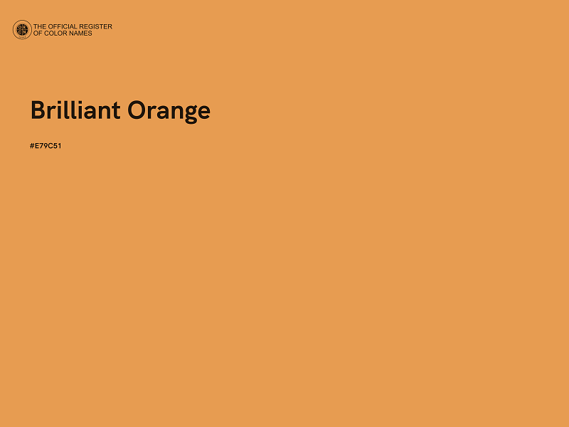#E79C51 - Brilliant Orange color image