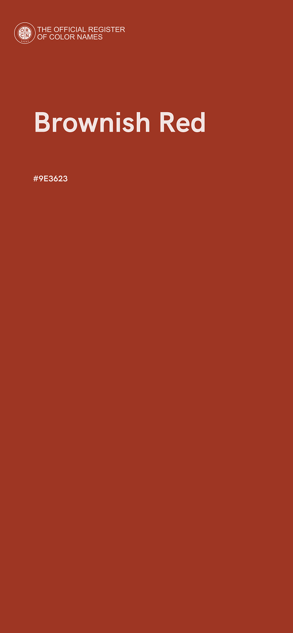 #9E3623 - Brownish Red color image