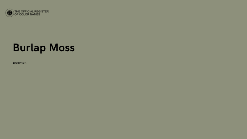 #8D907B - Burlap Moss color image