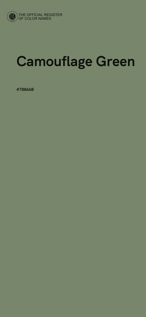 #78866B - Camouflage Green color image
