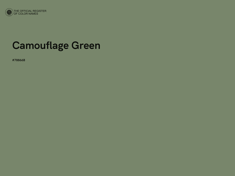 #78866B - Camouflage Green color image