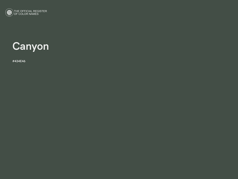 #434E46 - Canyon color image