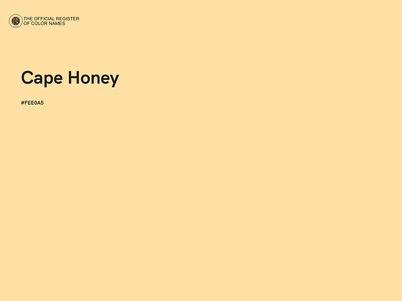 #FEE0A5 - Cape Honey color image