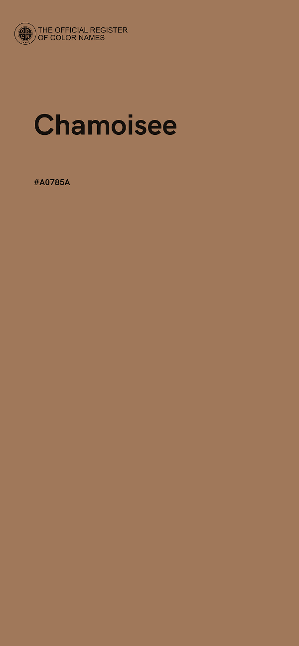 #A0785A - Chamoisee color image