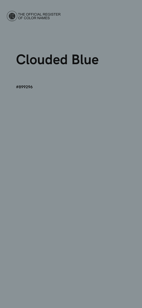 #899296 - Clouded Blue color image