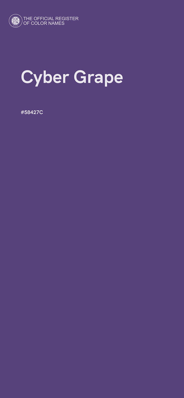 #58427C - Cyber Grape color image