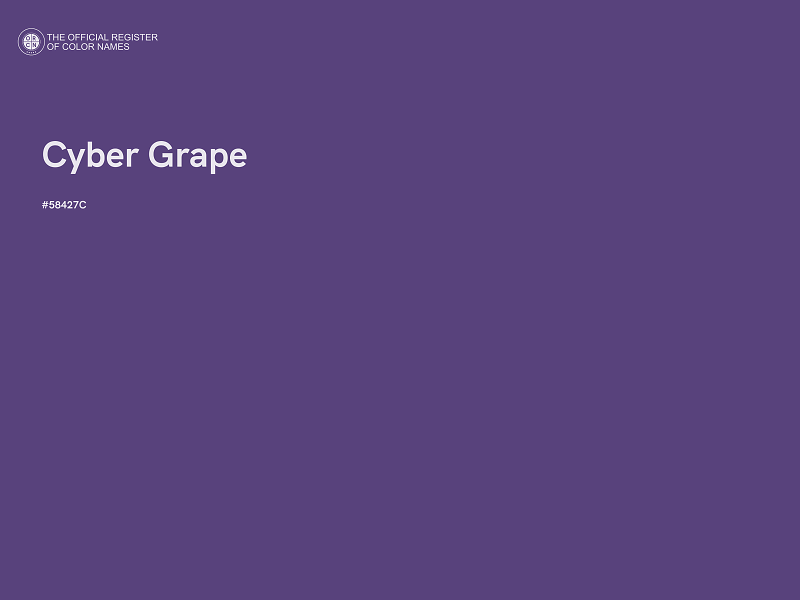 #58427C - Cyber Grape color image