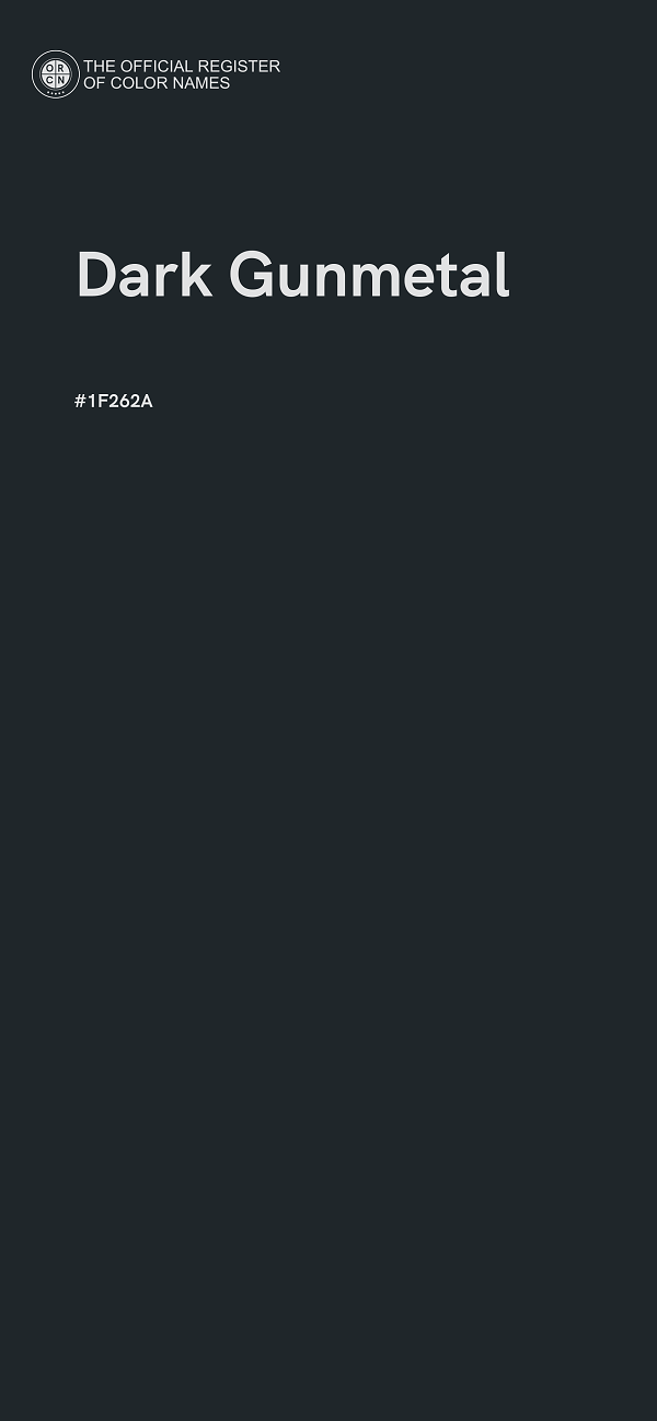 #1F262A - Dark Gunmetal color image