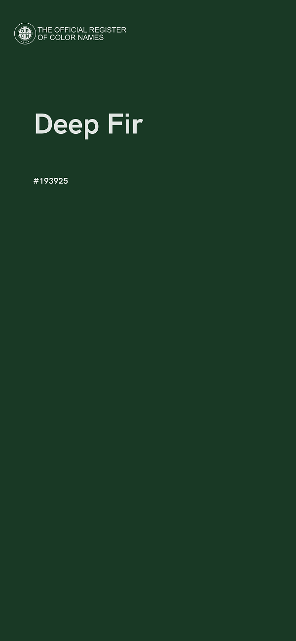 #193925 - Deep Fir color image