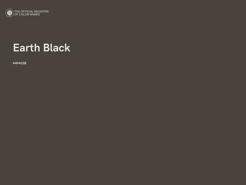 #49433B - Earth Black color image