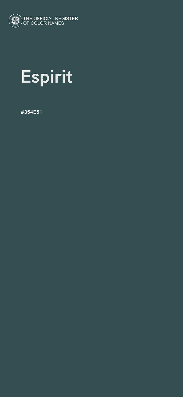 #354E51 - Espirit color image