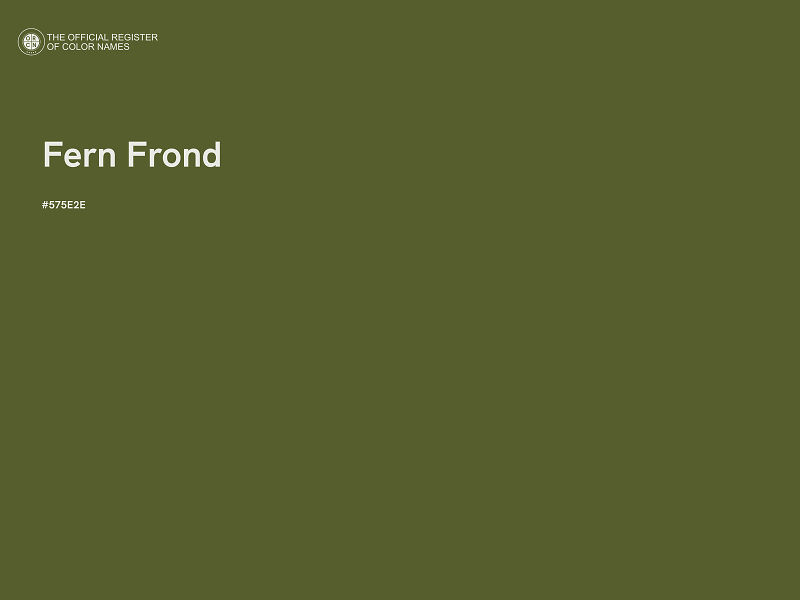 #575E2E - Fern Frond color image