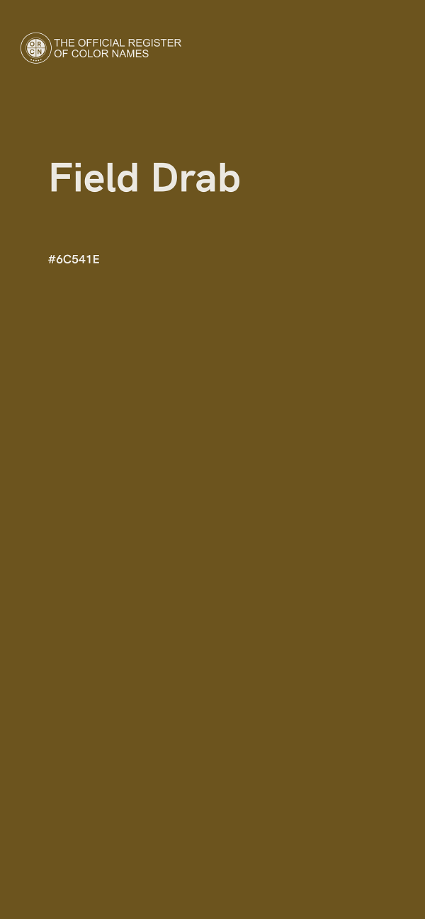 #6C541E - Field Drab color image