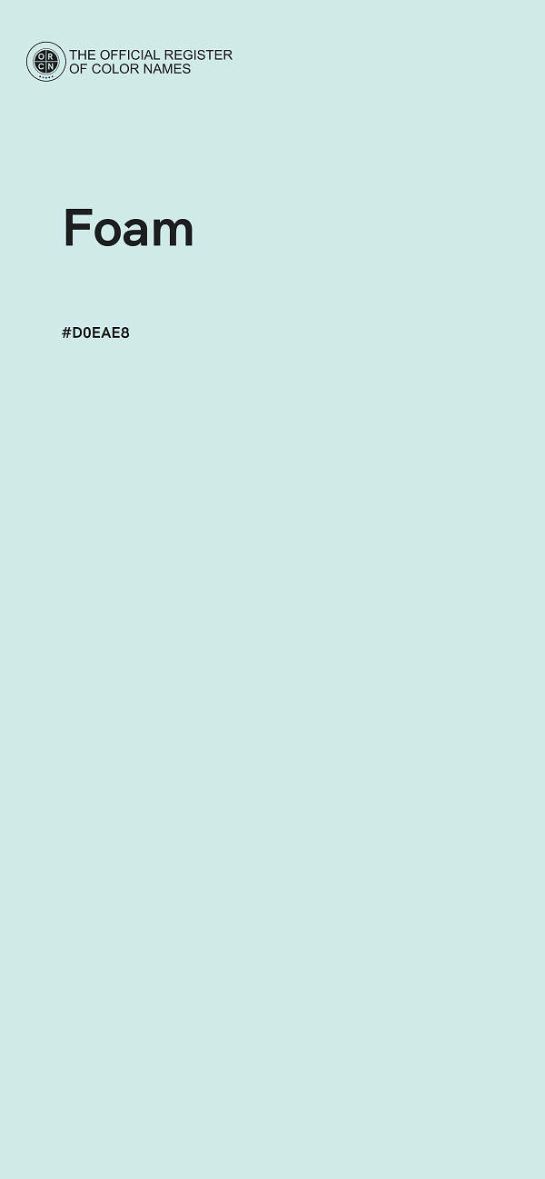#D0EAE8 - Foam color image