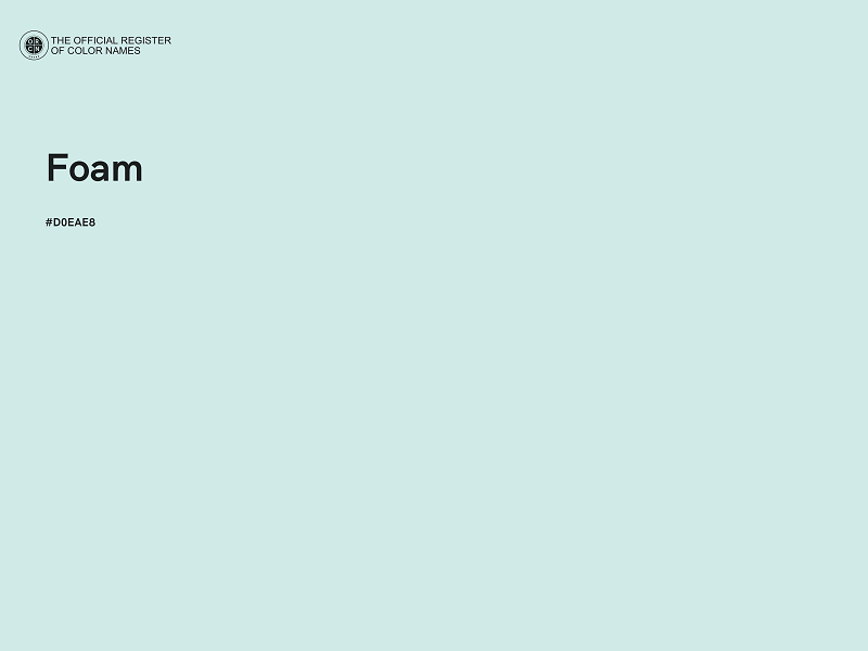 #D0EAE8 - Foam color image