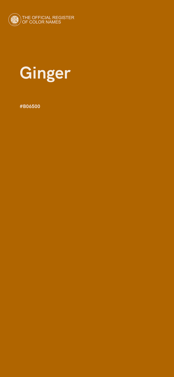 #B06500 - Ginger color image