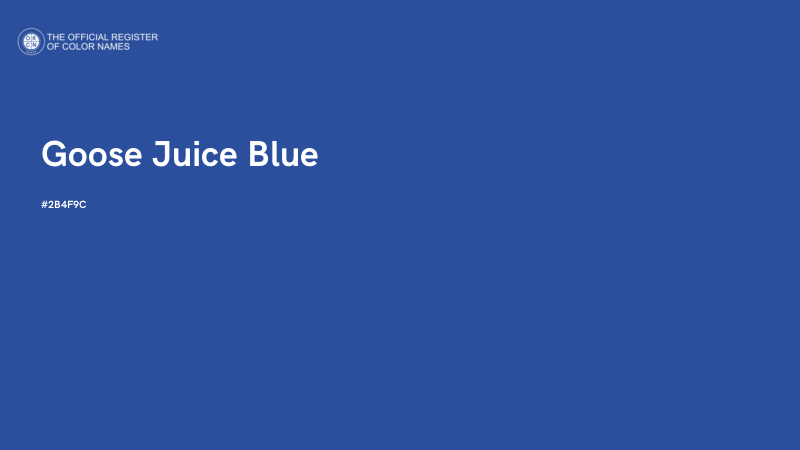 #2B4F9C - Goose Juice Blue color image