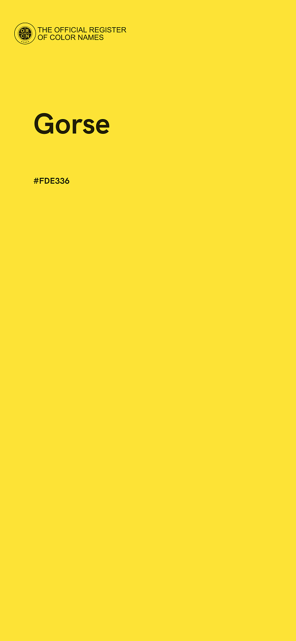#FDE336 - Gorse color image