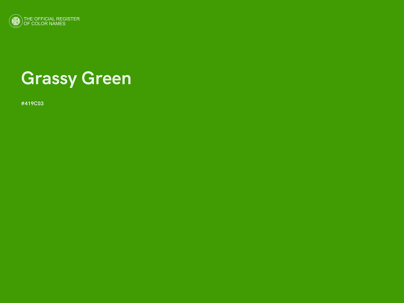 #419C03 - Grassy Green color image