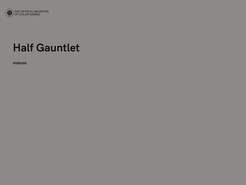 #8B8A88 - Half Gauntlet color image