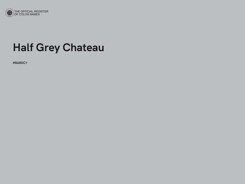 #BABDC1 - Half Grey Chateau color image