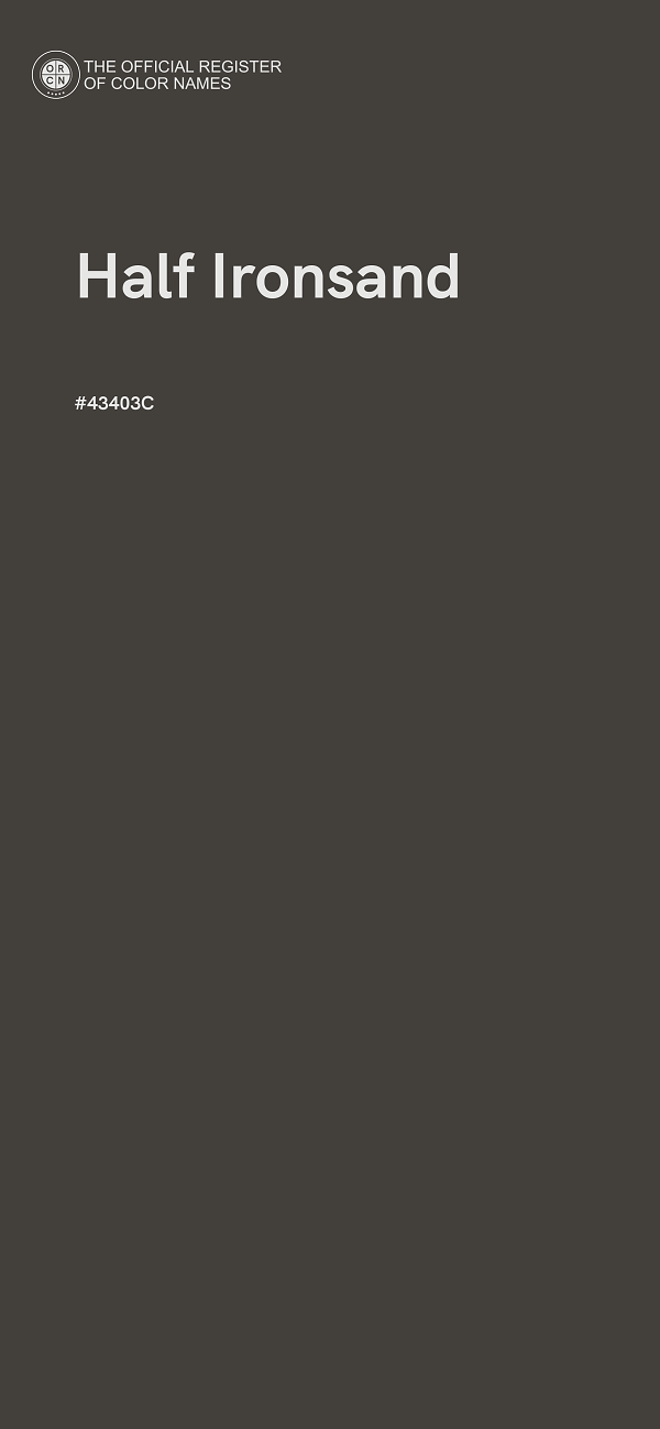 #43403C - Half Ironsand color image