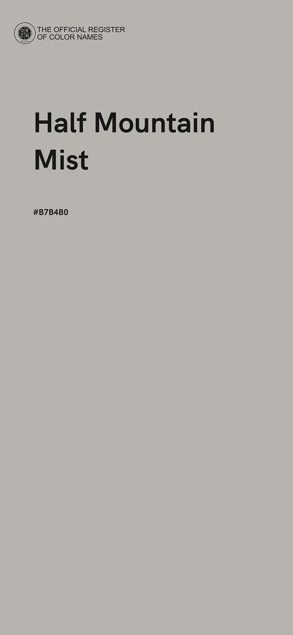 #B7B4B0 - Half Mountain Mist color image